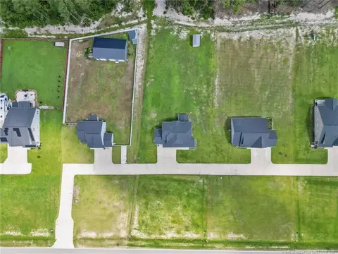 View/Area - 176 Josey Williams Rd, Erwin, NC 28339 photo 2 of 3
