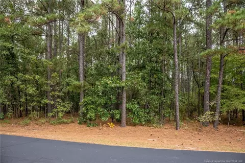 0 Deercroft Dr, Wagram, NC 28396