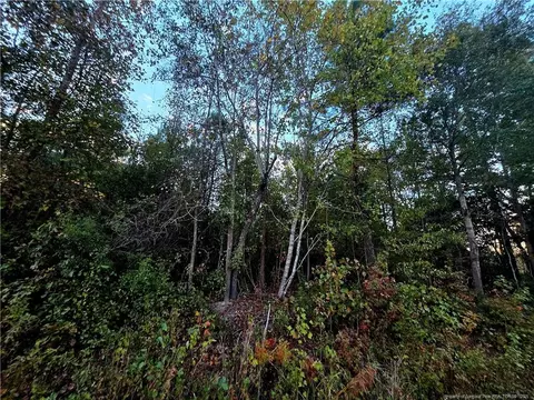 Walker Road, Linden, NC 28356 photo 2