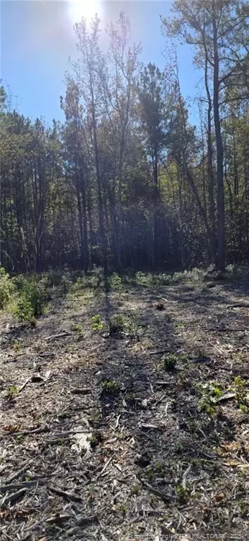 tbd Cameron Hill Rd, Cameron, NC 28326 photo 9