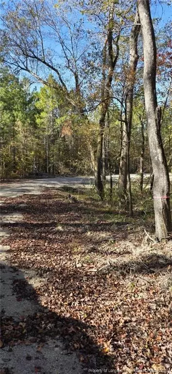 tbd Cameron Hill Rd, Cameron, NC 28326 photo 5