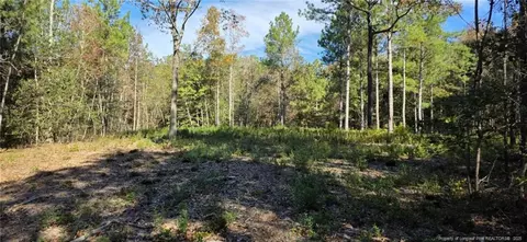 tbd Cameron Hill Rd, Cameron, NC 28326 photo 6