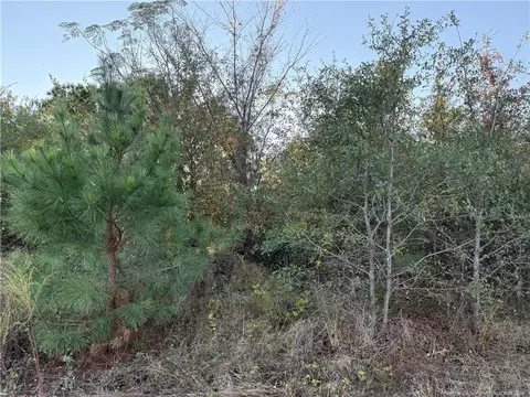 4083 Collier Rd, Wade, NC 28395 photo 7