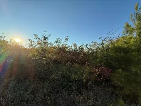 4083 Collier Rd, Wade, NC 28395 photo 6