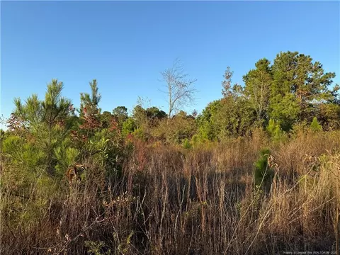 4083 Collier Rd, Wade, NC 28395 photo 10