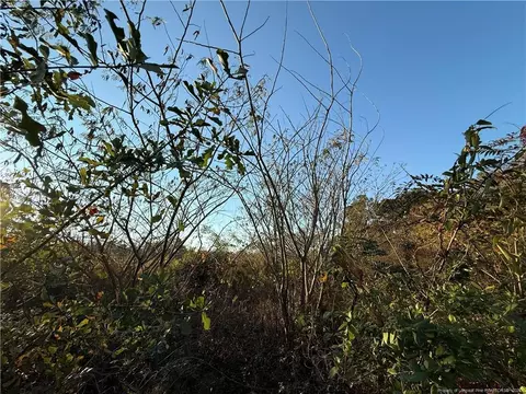 4083 Collier Rd, Wade, NC 28395 photo 5