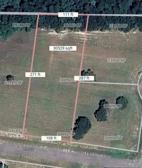 Dandelion Drive, Lumberton, NC 28360