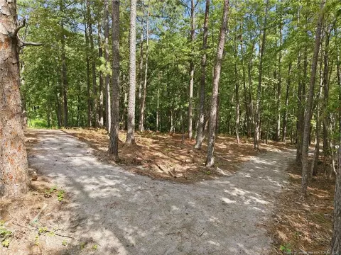 Exterior - 232 Elijah Way, Vass, NC 28394 photo 10 of 10
