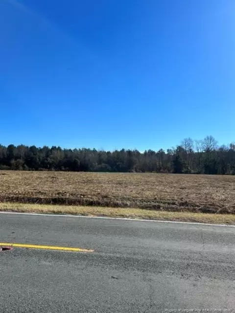 Wire Grass Road, Orrum, NC 28369 photo 10