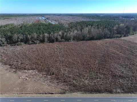 Wire Grass Road, Orrum, NC 28369 photo 4