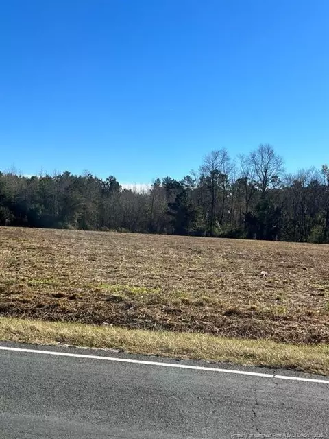 Wire Grass Road, Orrum, NC 28369 photo 9