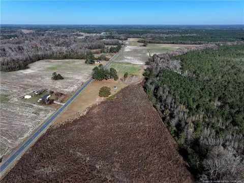 Wire Grass Road, Orrum, NC 28369 photo 5