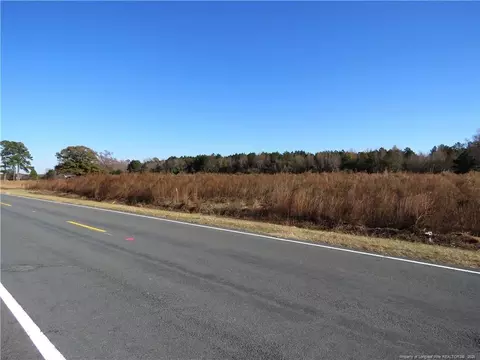 Wire Grass Road, Orrum, NC 28369 photo 8