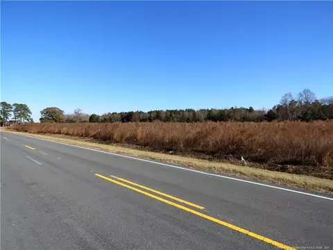 Wire Grass Road, Orrum, NC 28369 photo 7
