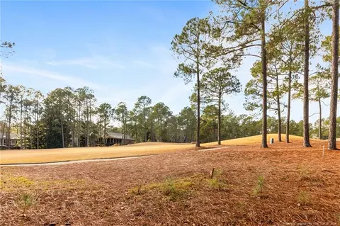 50 Stoneykirk Dr, Pinehurst, NC 28374 photo 4