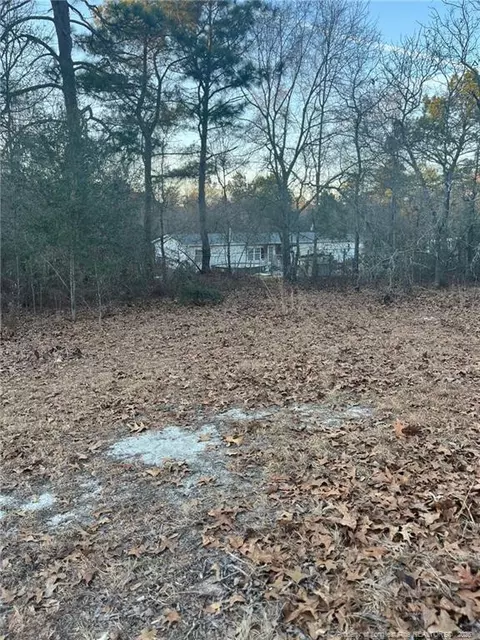 291 Calvin Rd, Cameron, NC 28326 photo 3