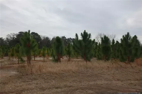 lot40 Stuarts Mill Rd, Fairmont, NC 28340
