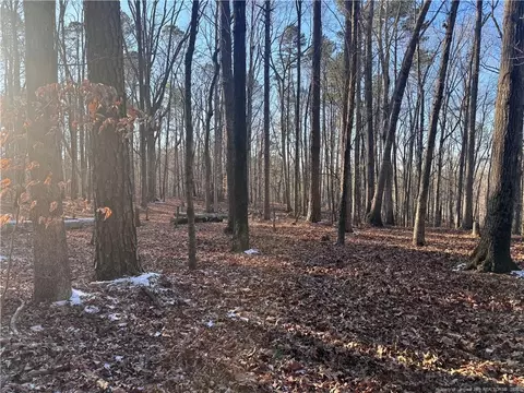 Oldham Lake Road, Sanford, NC 27330