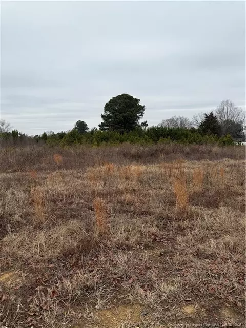 2602 Erwin Rd, Dunn, NC 28334 photo 3