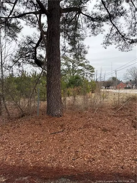 2602 Erwin Rd, Dunn, NC 28334 photo 5