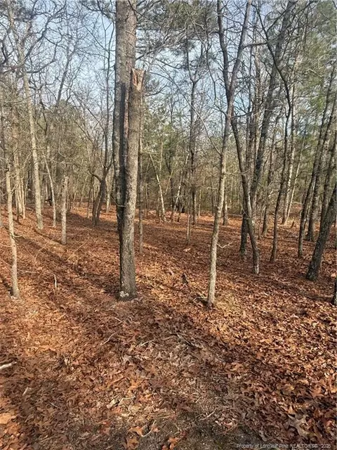 0 Gully Branch Rd, Raeford, NC 28376