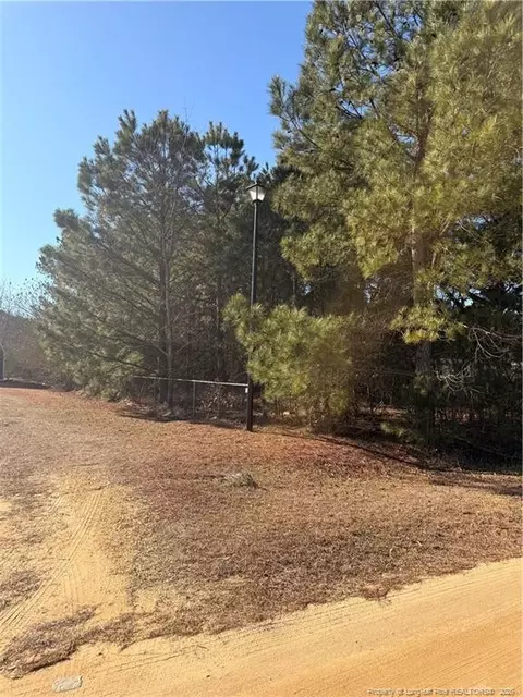 Brownestone Lane, Dunn, NC 28334 photo 3