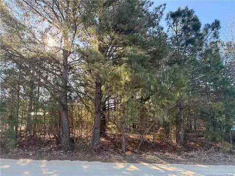 Brownestone Lane, Dunn, NC 28334