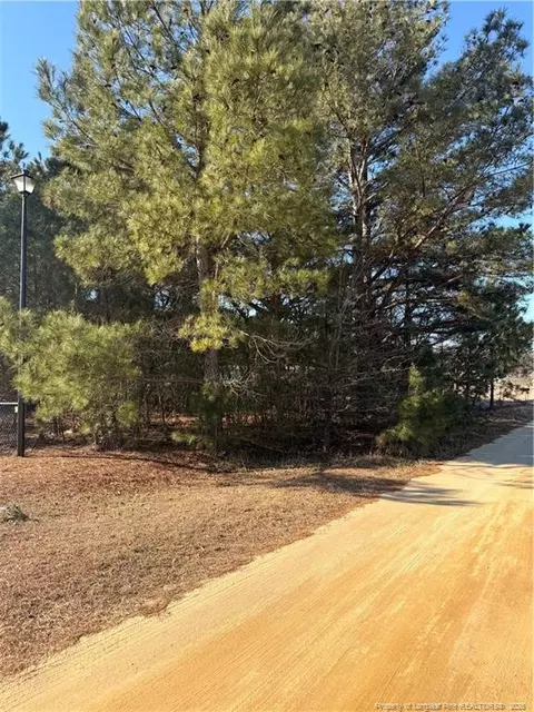 Brownestone Lane, Dunn, NC 28334 photo 2