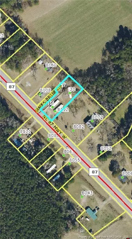 1629308112 James Britt Nc Hwy 87 Rd, Dublin, NC 28332