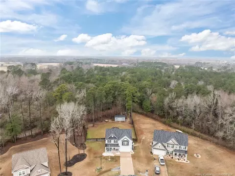 View/Area - 307 Mill Ridge Ct, Godwin, NC 28344 photo 1 of 2