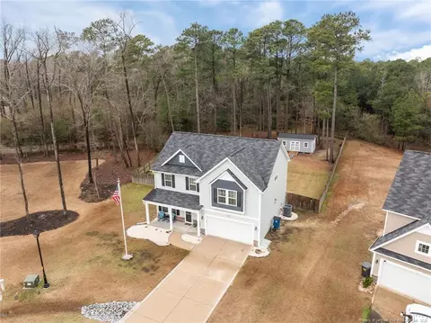 View/Area - 307 Mill Ridge Ct, Godwin, NC 28344 photo 2 of 2