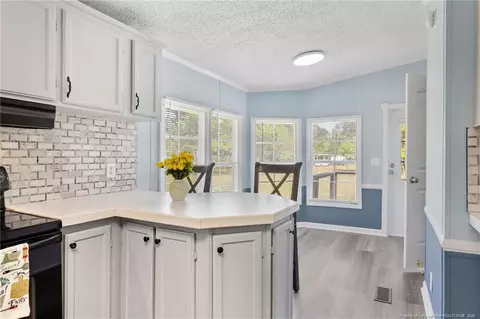 Other - 256 Summer Hill Rd, Lumber Bridge, NC 28357 photo 5 of 15