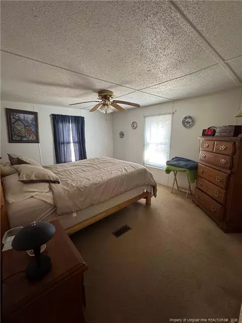 110 Chavis Ln, Cameron, NC 28326 photo 10
