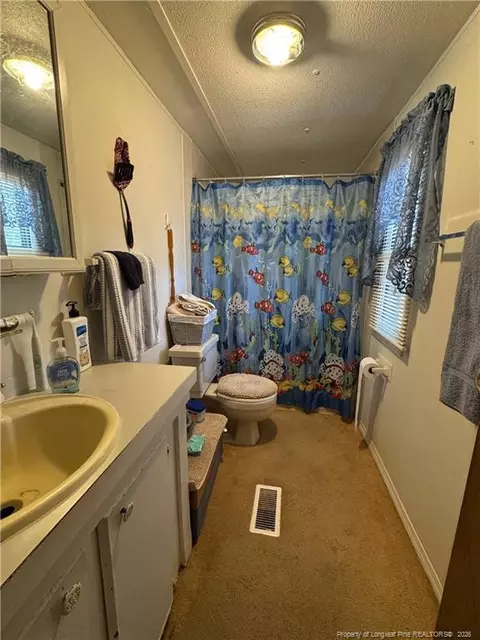 110 Chavis Ln, Cameron, NC 28326 photo 11