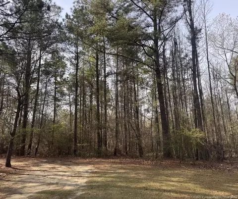 tbd Celtic Ct, Raeford, NC 28376 photo 1