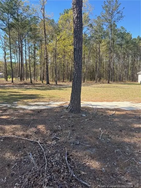 4401 E Huckleberry Dr, Eastover, NC 28312