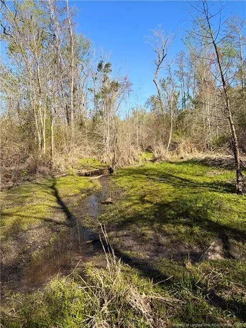 Clark Road, Maxton, NC 28364 photo 8