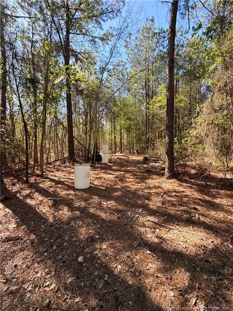 Clark Road, Maxton, NC 28364 photo 16