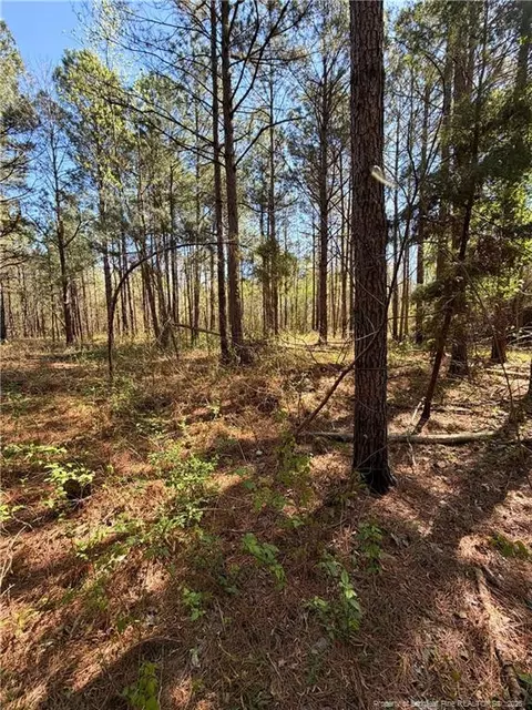 Clark Road, Maxton, NC 28364 photo 14