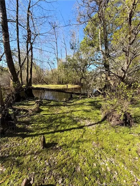 Clark Road, Maxton, NC 28364 photo 11
