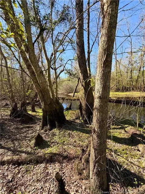 Clark Road, Maxton, NC 28364 photo 13