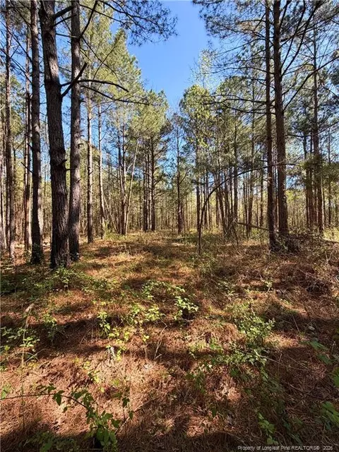 Clark Road, Maxton, NC 28364
