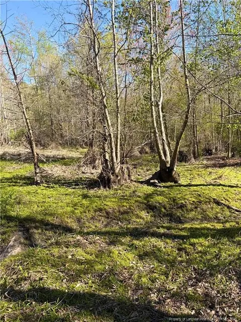 Clark Road, Maxton, NC 28364 photo 10