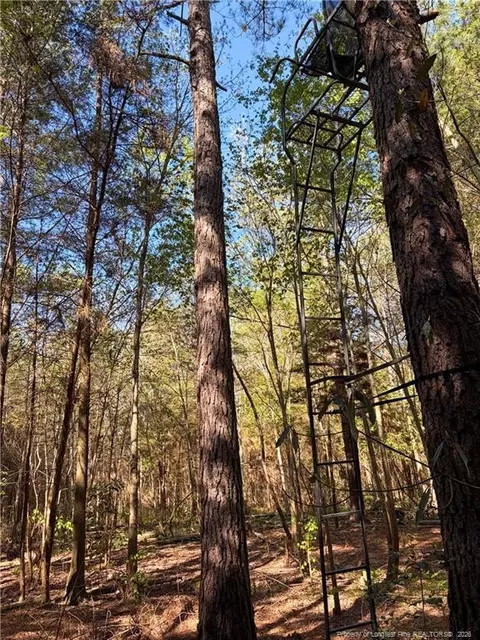 Clark Road, Maxton, NC 28364 photo 3