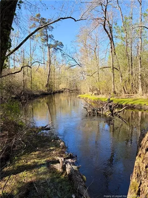 Clark Road, Maxton, NC 28364 photo 4