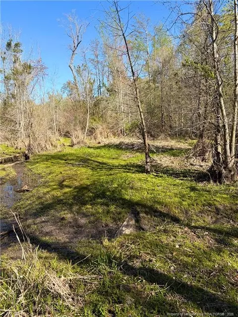 Clark Road, Maxton, NC 28364 photo 9