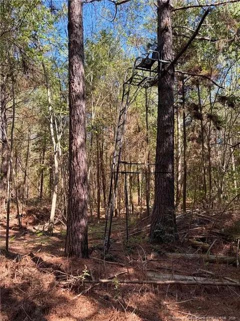 Clark Road, Maxton, NC 28364 photo 2