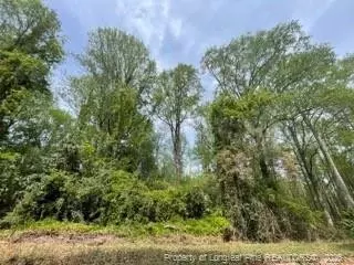 474 N Gaines St, Southern Pines, NC 28387