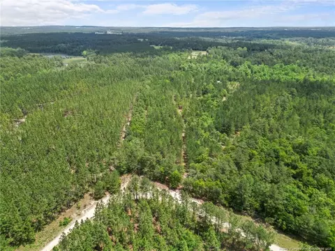 Nighthawk Loop, Aberdeen, NC 28315 photo 11