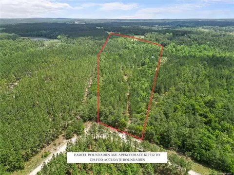 Nighthawk Loop, Aberdeen, NC 28315 photo 2